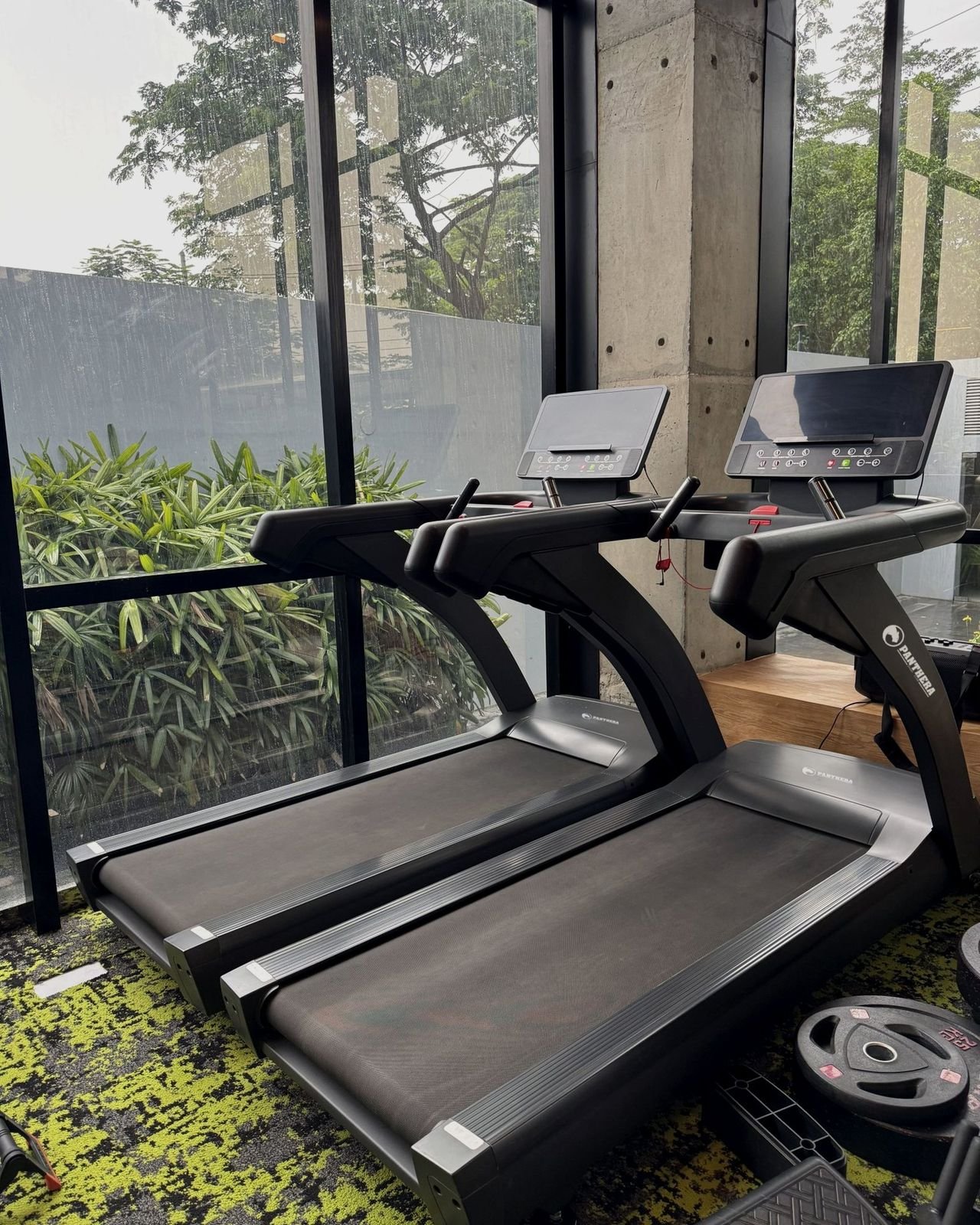 Cintas de correr Panthera en una sala de cardio