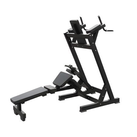 Combined Abdominal Muscle Exercise Stand PF-HC059 - Panthera Fitness