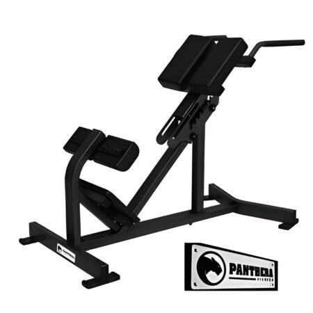 Roman Chair PF-LH45 - Panthera Fitness