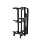 Assisted Pull-Up & Dip Machine PF-MM09 - Panthera Fitness