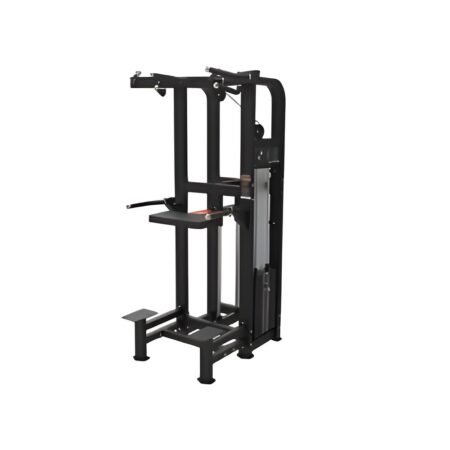 Assisted Pull-Up & Dip Machine PF-MM09 - Panthera Fitness