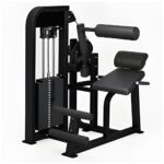 Seated Back Extension PF-MM21 - Panthera Fitness