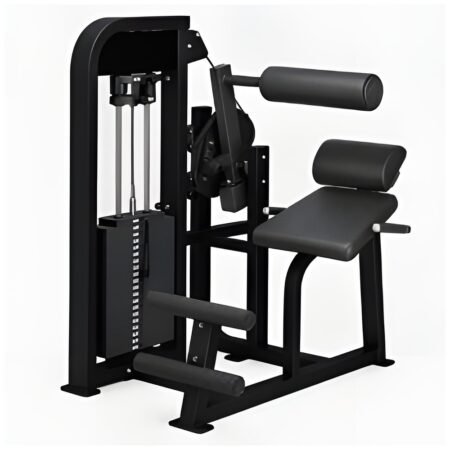 Seated Back Extension PF-MM21 - Panthera Fitness